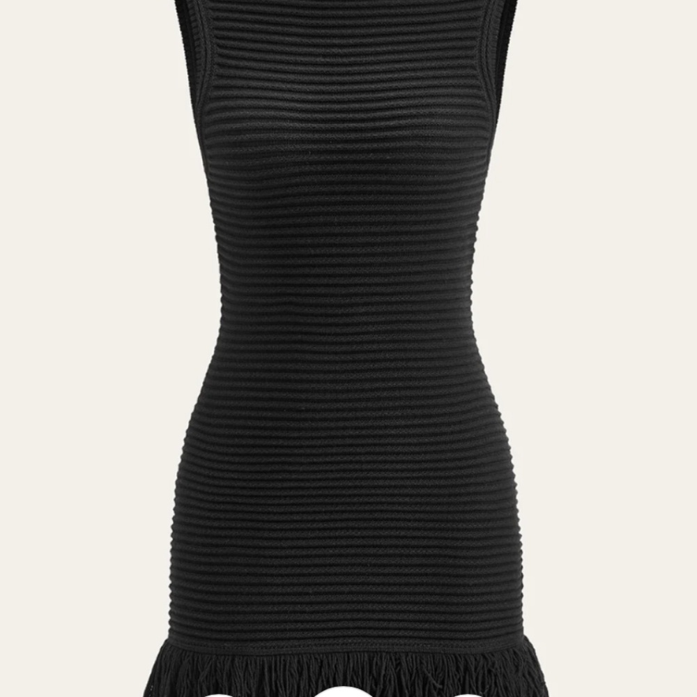 Commense NWT Sleeveless Fringe Hem Sweater Dress (small)